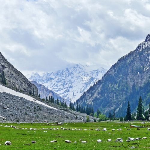 listing-details-carousel